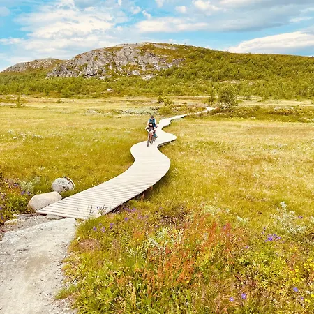 Sentral, Hc-friendly * Beitostolen