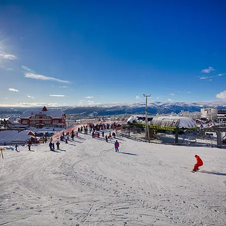 Sentral, Hc-friendly Apartmán Beitostolen